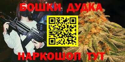 мдпв Партизанск