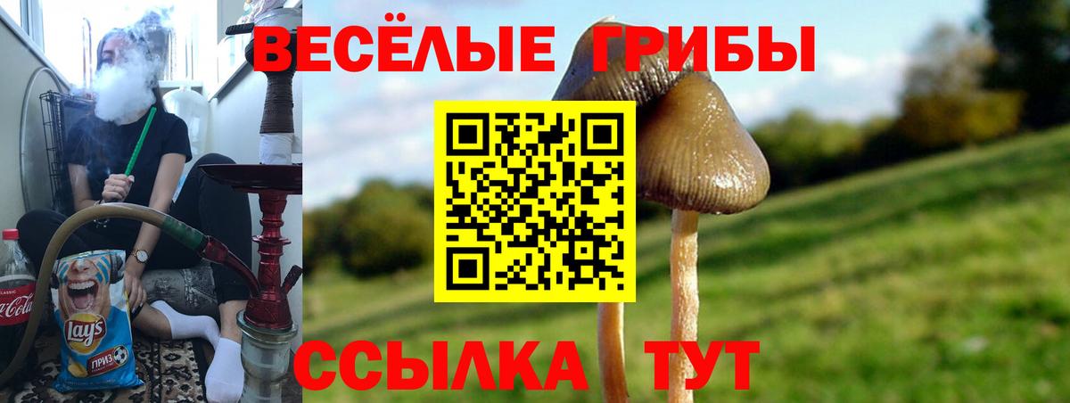 Галлюциногенные грибы Magic Shrooms Светлоград